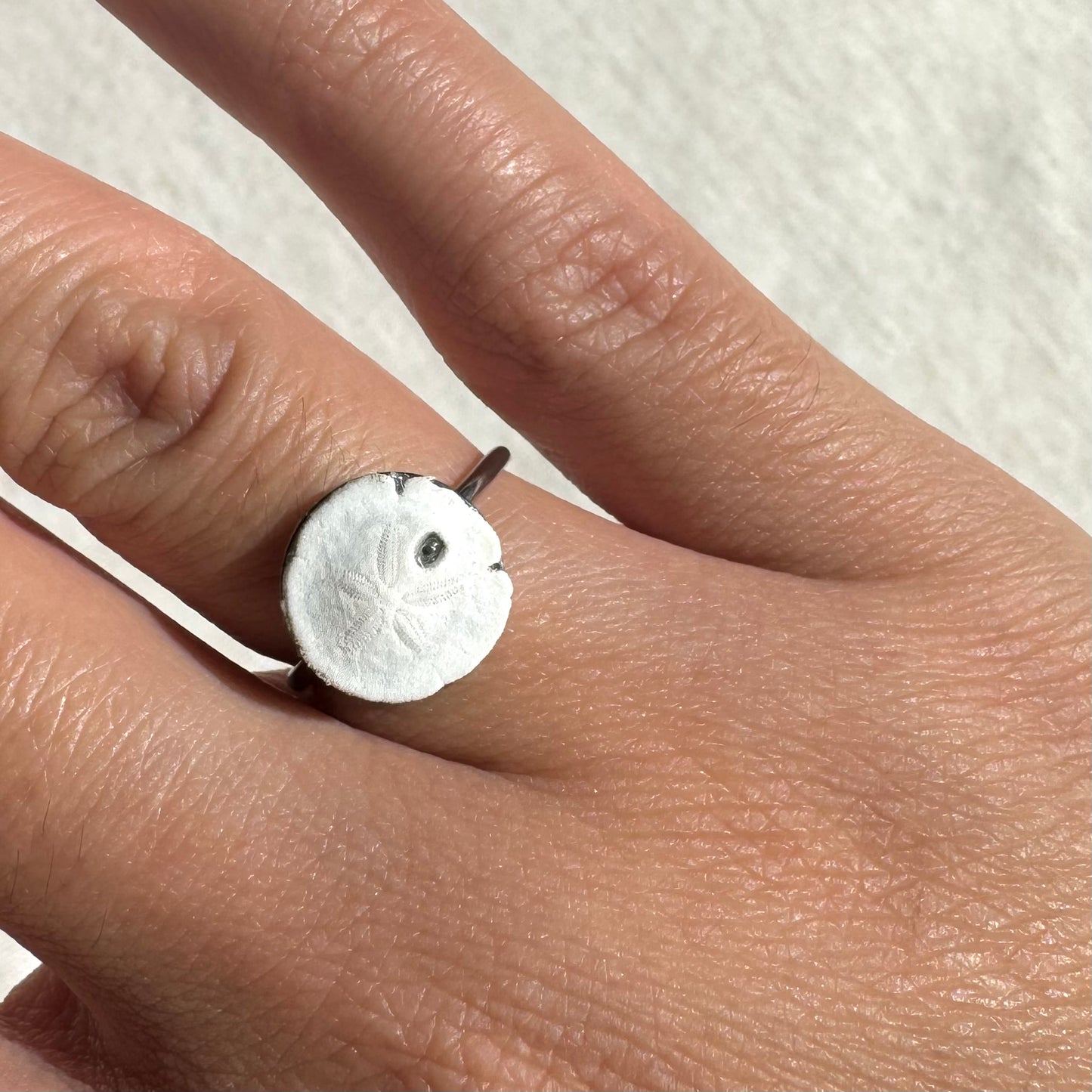 Silver Sandollar Ring
