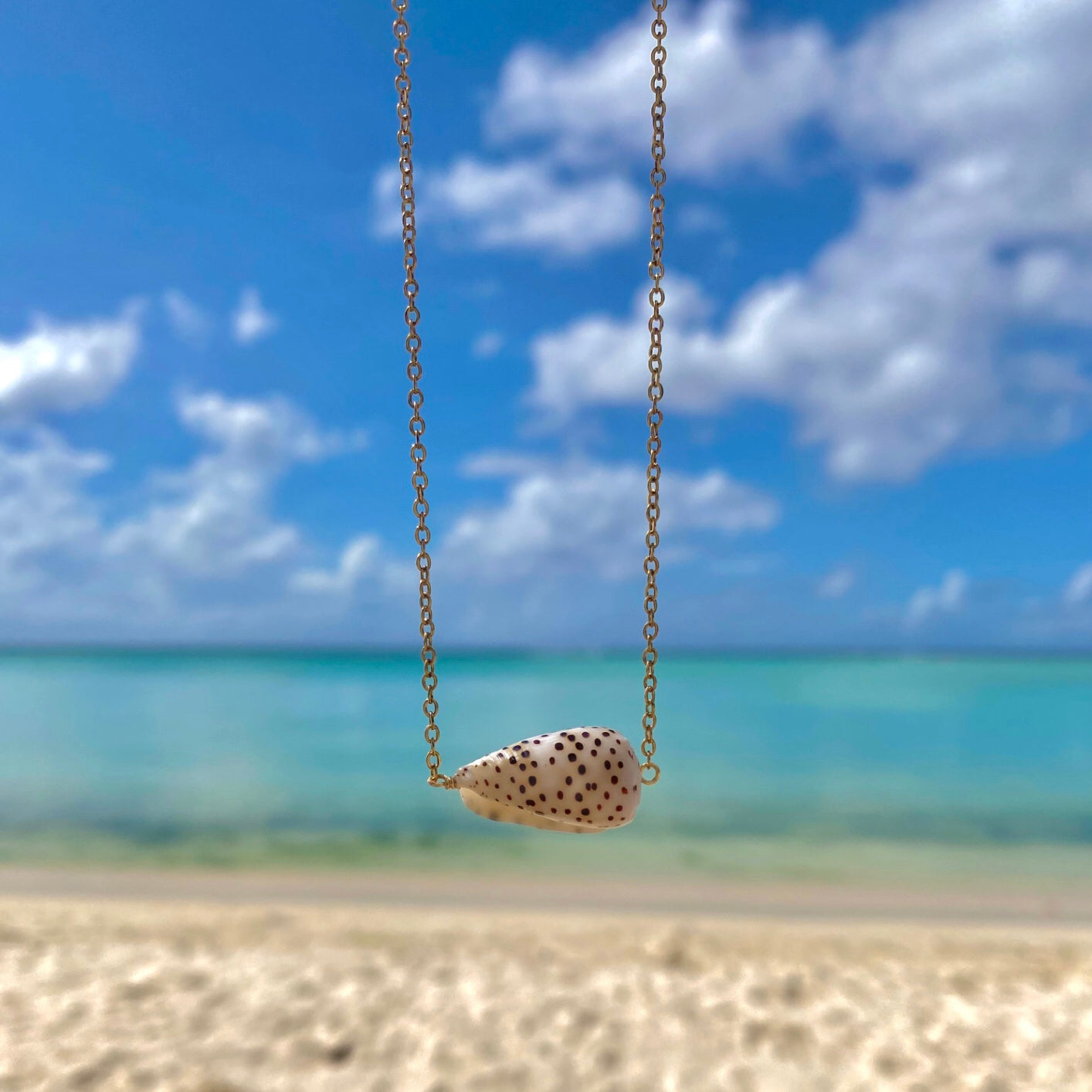 Ivory Cone Shell Necklace