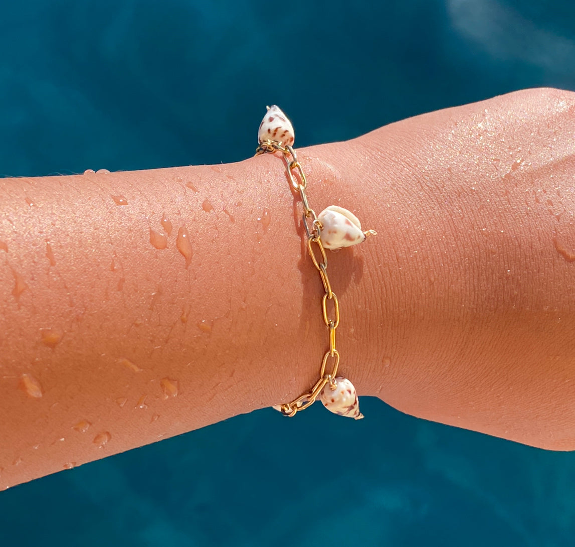 Striped Cone Shell Bracelet