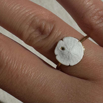 Gold Sandollar Ring