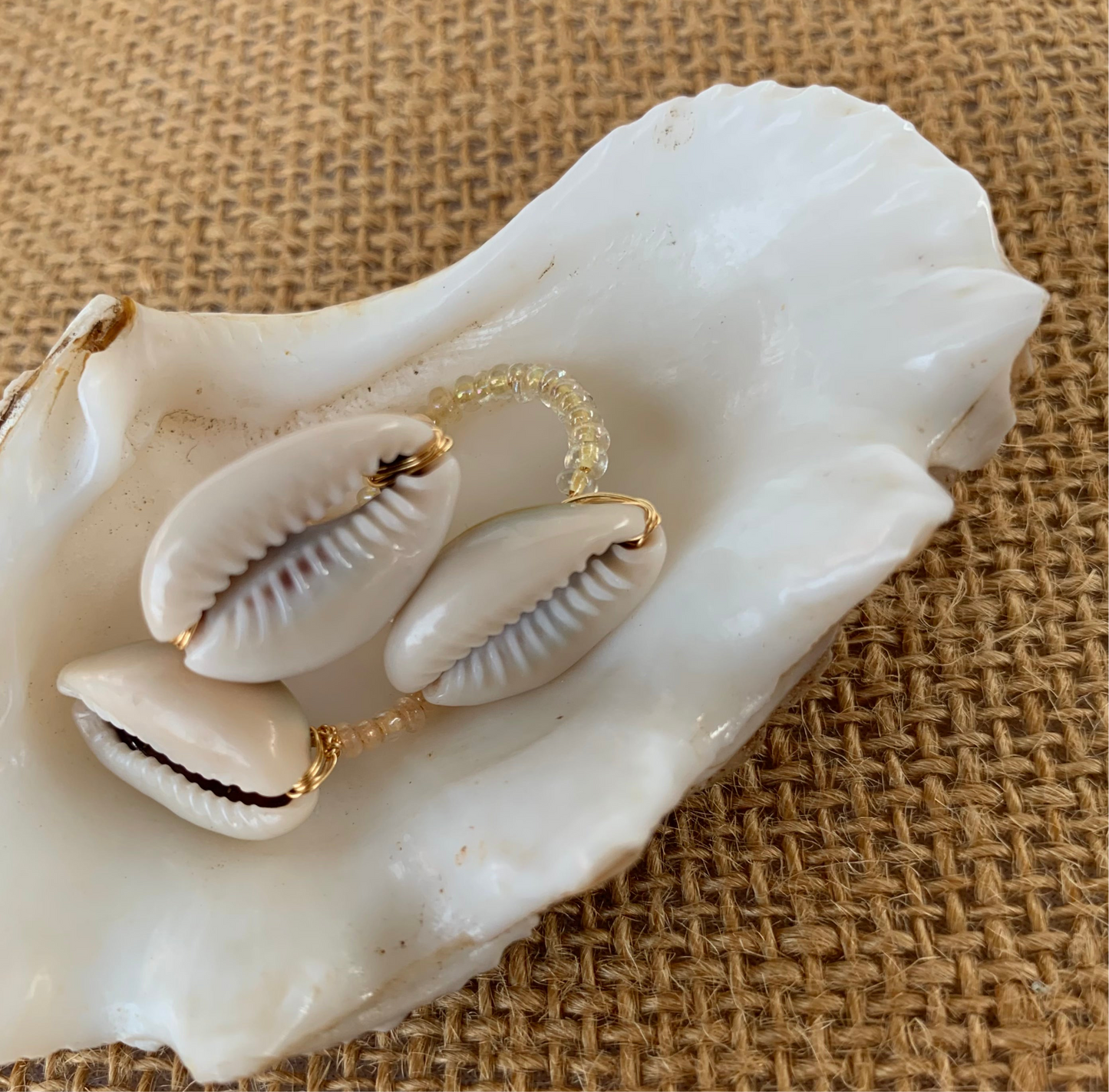 Cowrie Ring