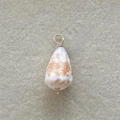 Rare Striped Cone Charm in Gold