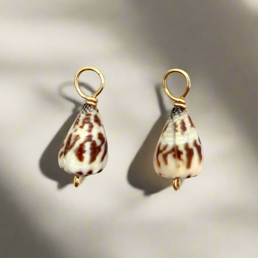 Gold Striped Cone Shell Huggie Charms