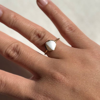 Gold Clam Shell Ring