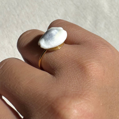 Gold Cowrie Ring