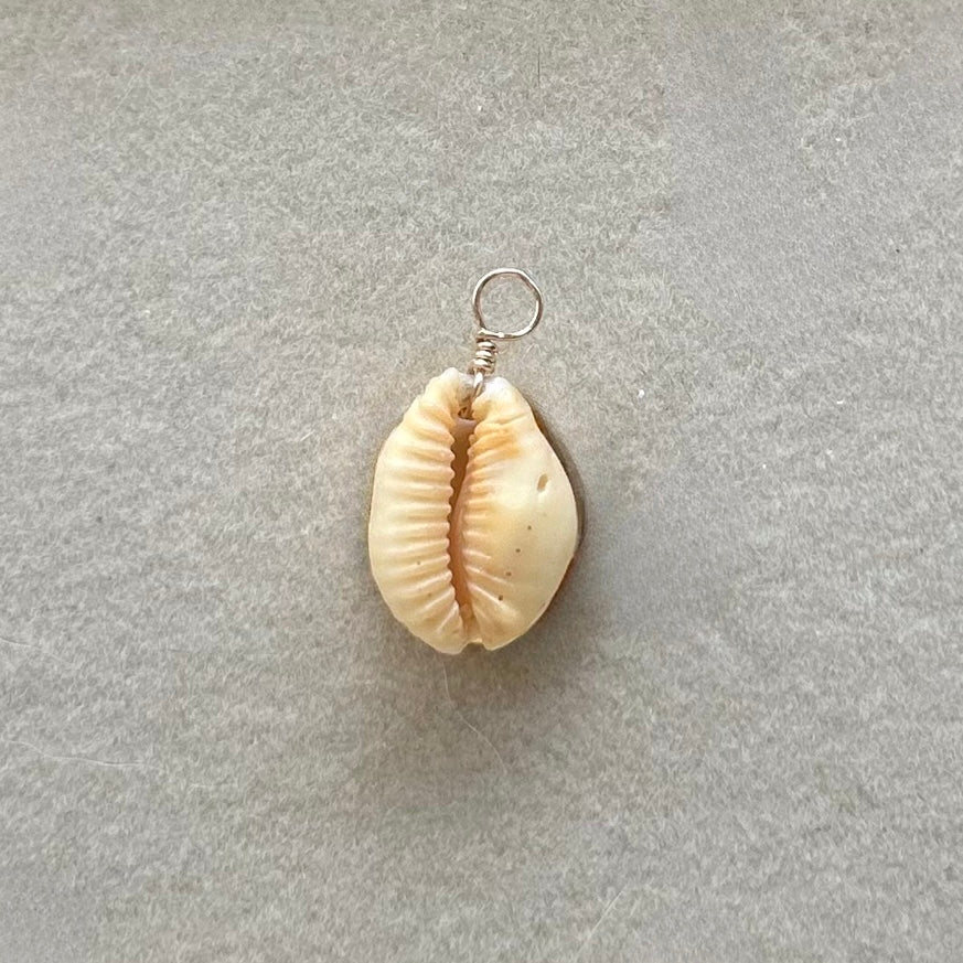 Rare Golden Cowrie Charm in Gold