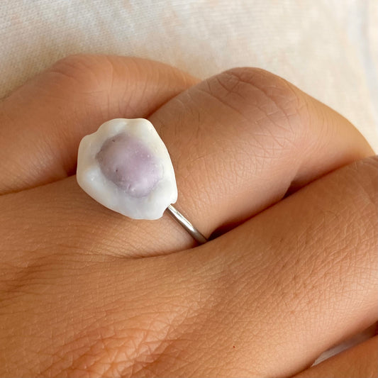 Silver Cowrie Ring