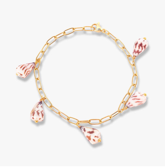 Striped Cone Shell Bracelet