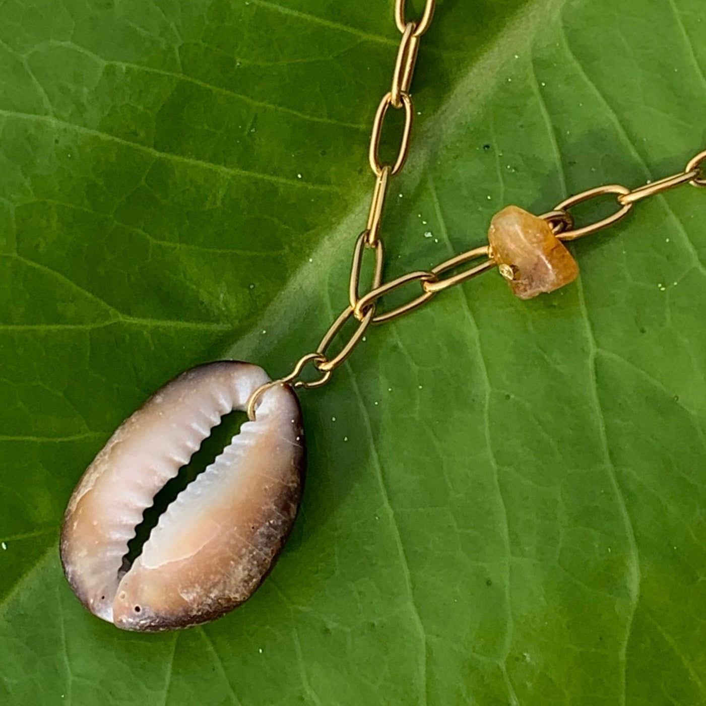 Gold Brown Cowrie Gem Necklace